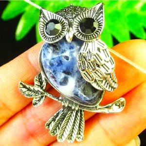 🦉Old Sodalite💦Healing💦Owl Necklace🦉
